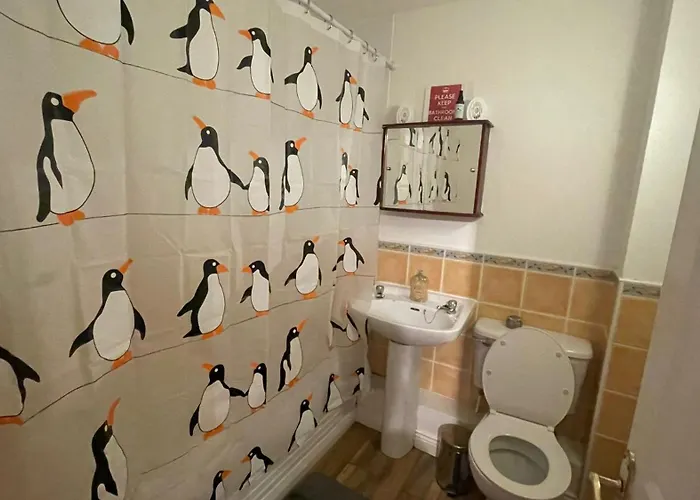 Airport, Dcu Konukevi *